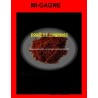 MI-GAGNE poudre vaudou attire argent